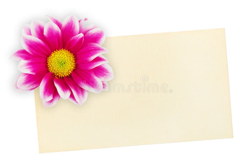 Accogliere scheda di carta e fiore fotografie stock libere da diritti Accogliere scheda di carta e fiore fotografie stock libere da diritti