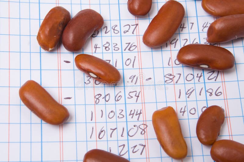 beancounter accounting beancounter accounting