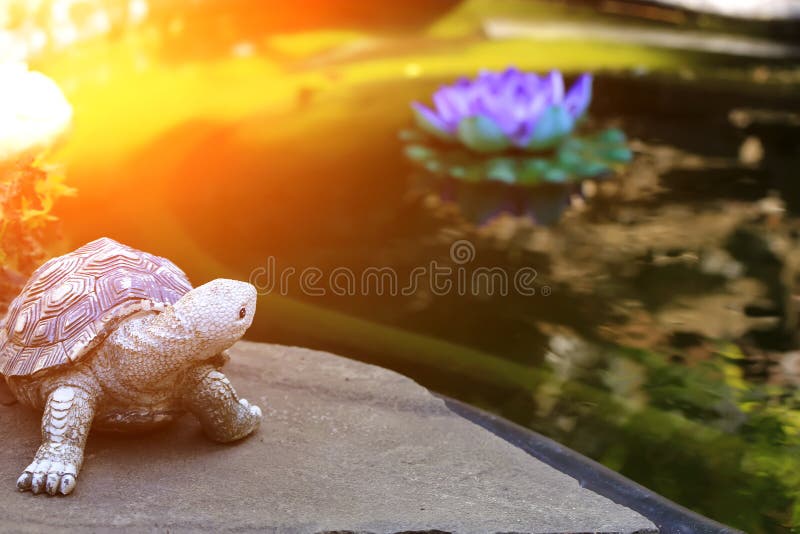 Accueil Décoration Jardin Figurine Tortue Sur Le Rivage étang Pour  Décoration Cour D'été Photo stock - Image du vert, regroupement: 209669534