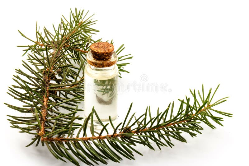Aceite esencial picante en una botella con ramas de abeto fresco sobre fondo blanco. Una botella de aceite esencial de abeto con ramas de abeja jóvenes aisladas sobre fondo blanco