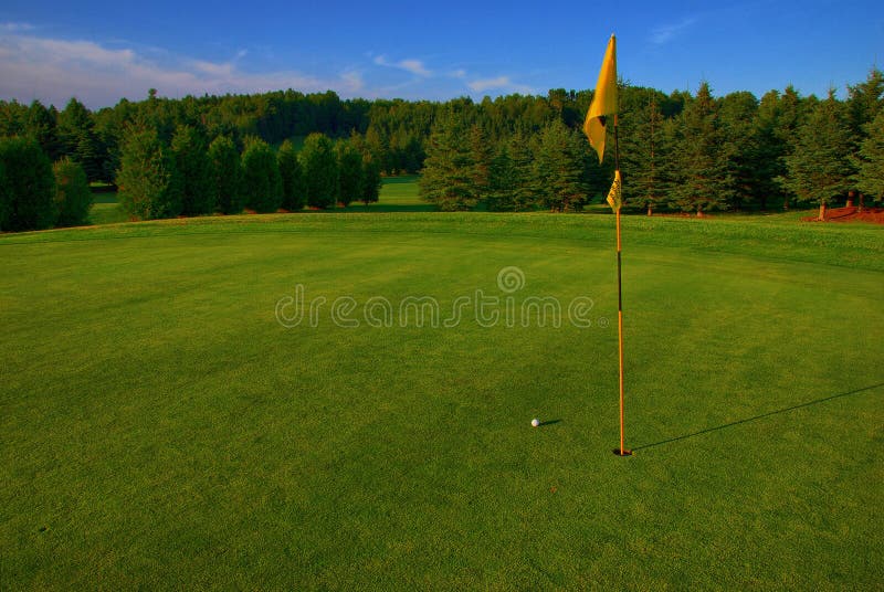 Nice tight approach on to a lush green in the late day sun. The ball mark from the shot can just be made out on the bottom left. Nice tight approach on to a lush green in the late day sun. The ball mark from the shot can just be made out on the bottom left.
