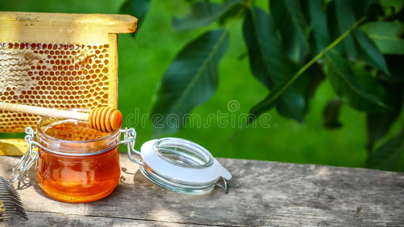 Acervo apicultor desenganchado con tenedor especial de apicultura miel cruda recolectada en colmenas de abejas Concepto de apicul fotos de archivo libres de regalías Acervo apicultor desenganchado con tenedor especial de apicultura miel cruda recolectada en colmenas de abejas Concepto de apicul fotos de archivo libres de regalías
