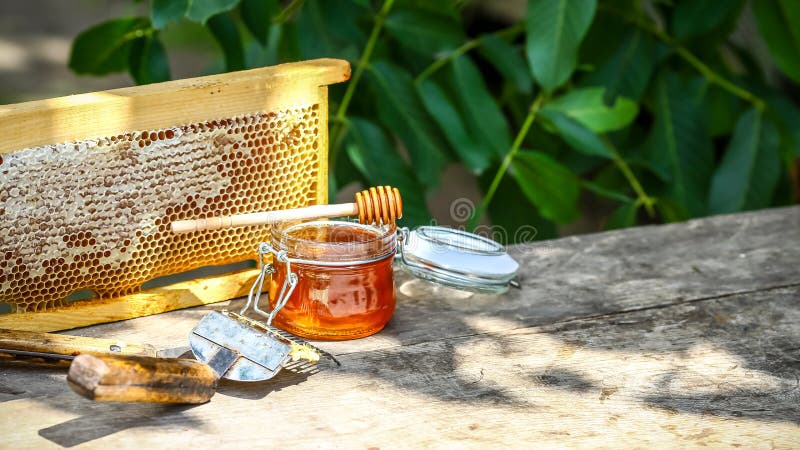 Acervo apicultor desenganchado con tenedor especial de apicultura miel cruda recolectada en colmenas de abejas Concepto de apicul imagen de archivo Acervo apicultor desenganchado con tenedor especial de apicultura miel cruda recolectada en colmenas de abejas Concepto de apicul imagen de archivo