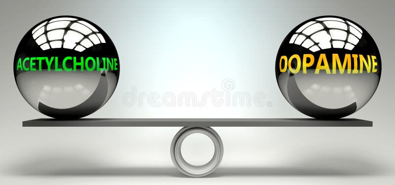 Acetylcholine and dopamine balance, harmony and relation pictured as two equal balls with text words showing abstract idea and royalty free illustration.