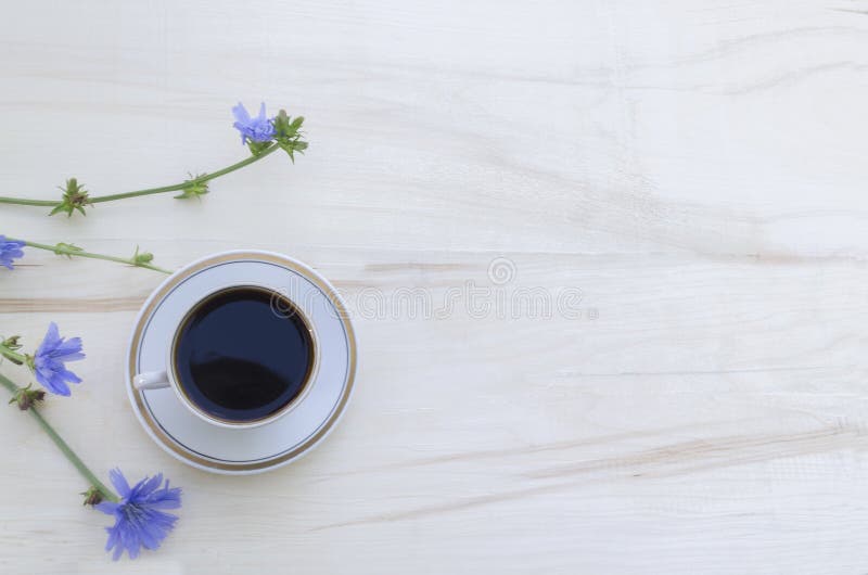 Achicoria de la bebida en una taza blanca y flores azules de una planta de achicoria en un fondo de madera blanco Bebida de la ma imagen de archivo Achicoria de la bebida en una taza blanca y flores azules de una planta de achicoria en un fondo de madera blanco Bebida de la ma imagen de archivo