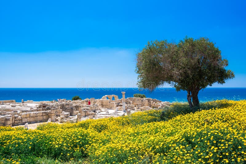 Achilles de Basiliek van Huiskourio bij het Heiligdom van Apollo bij de Kourion-Archeologische plaats van de Werelderfenis dichtb royalty-vrije stock afbeeldingen Achilles de Basiliek van Huiskourio bij het Heiligdom van Apollo bij de Kourion-Archeologische plaats van de Werelderfenis dichtb royalty-vrije stock afbeeldingen