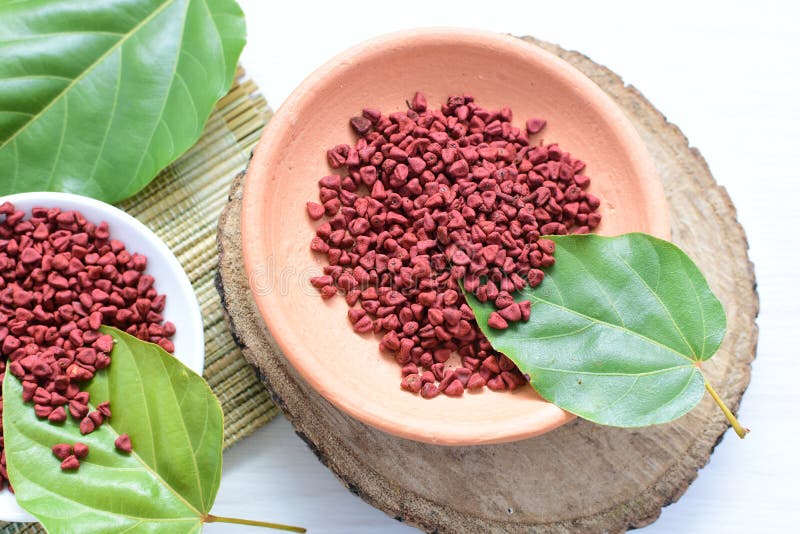 Achiote, Annatto, Bixin, Urucú or Onoto is a Natural Red Pigment for