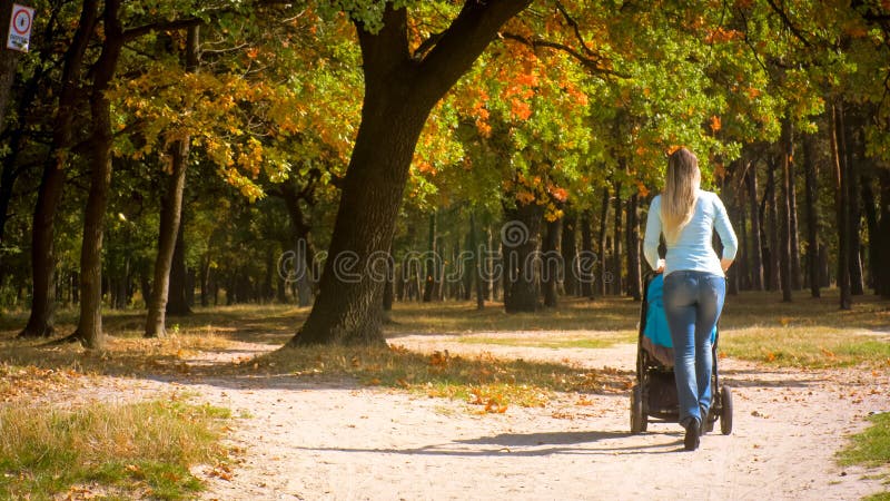 Achterdiemening van jonge vrouw met babykinderwagen wordt geschoten die onder de herfstbomen lopen in park royalty-vrije stock foto Achterdiemening van jonge vrouw met babykinderwagen wordt geschoten die onder de herfstbomen lopen in park royalty-vrije stock foto