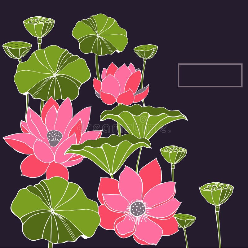 Achtergrond met bladeren, bloemen en zaadpeulen van Lotus stock illustratie Achtergrond met bladeren, bloemen en zaadpeulen van Lotus stock illustratie
