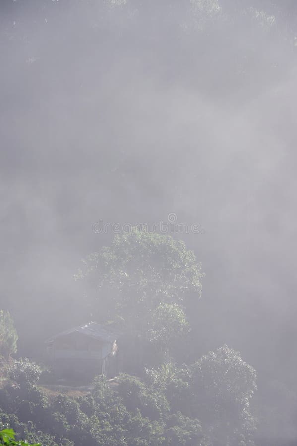 Achtergrond met dichte mist royalty-vrije stock afbeeldingen Achtergrond met dichte mist royalty-vrije stock afbeeldingen
