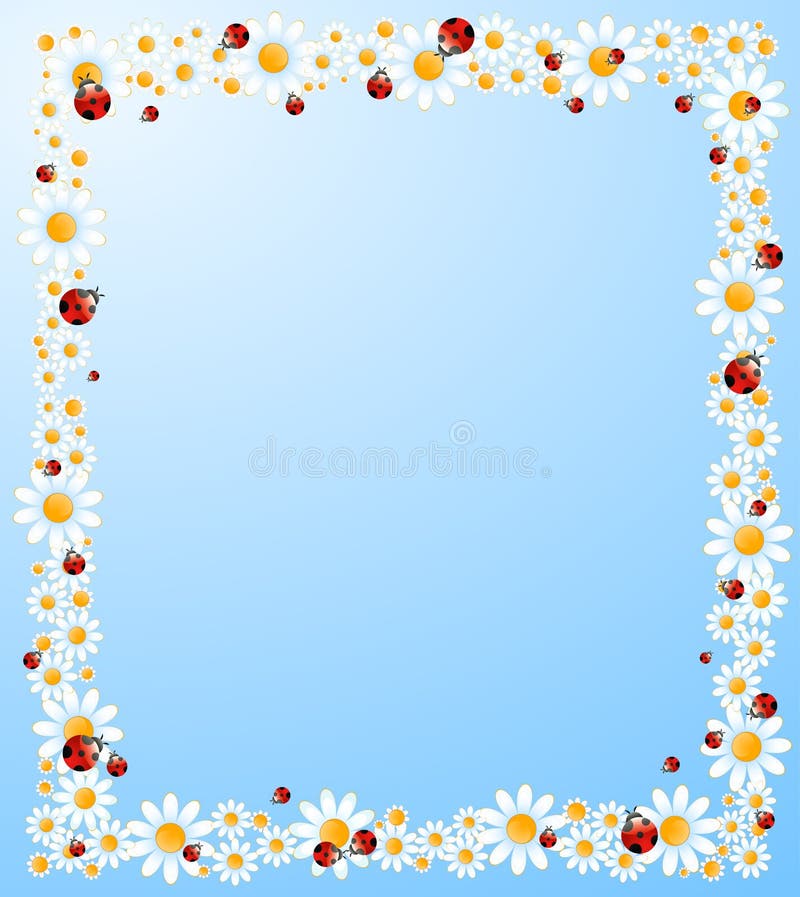 achtergrond met mooie camomil vector illustratie achtergrond met mooie camomil vector illustratie