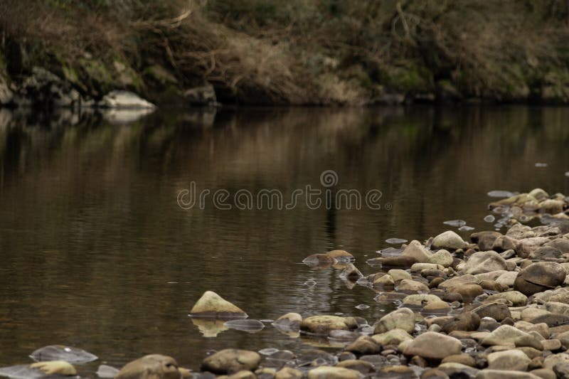 Achtergrond met rivier en stenen tijdens de herfst/Foto van een rivier met stenen uit nadruk stock fotografie Achtergrond met rivier en stenen tijdens de herfst/Foto van een rivier met stenen uit nadruk stock fotografie