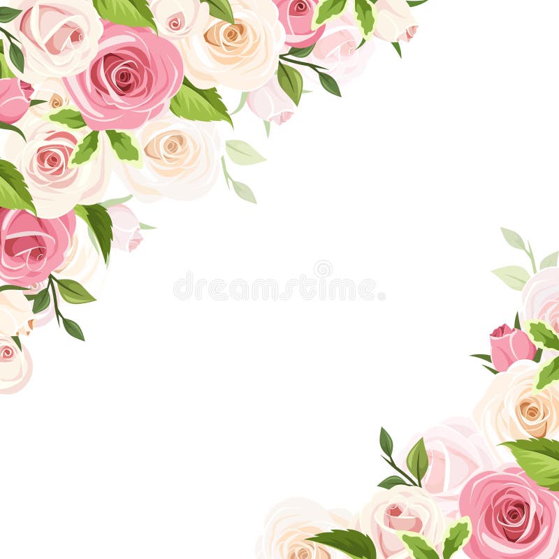 Achtergrond met roze en witte rozen. Vectorillustratie vector illustratie