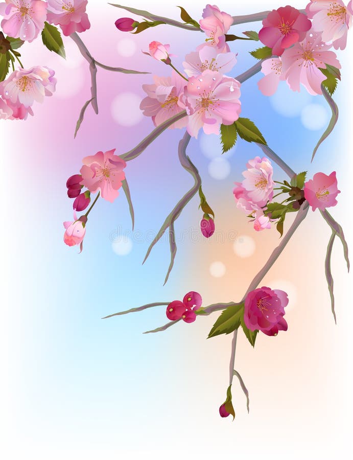 Achtergrond met zachte sakuratakken van bloemen