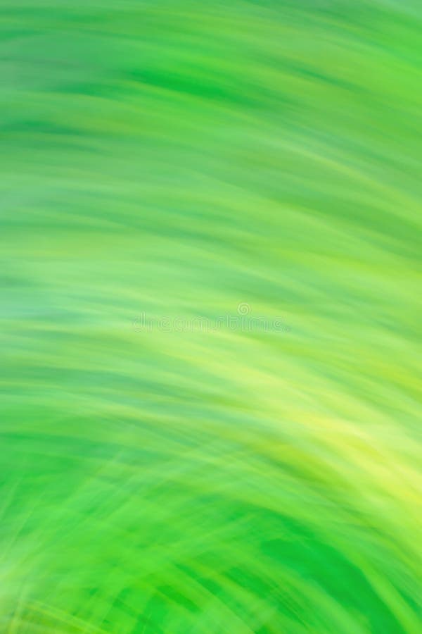 Achtergrond van bewegingsonduidelijk beeld van natuurlandschap. ondoorzichtig parklandschap met bokeh stock foto Achtergrond van bewegingsonduidelijk beeld van natuurlandschap. ondoorzichtig parklandschap met bokeh stock foto