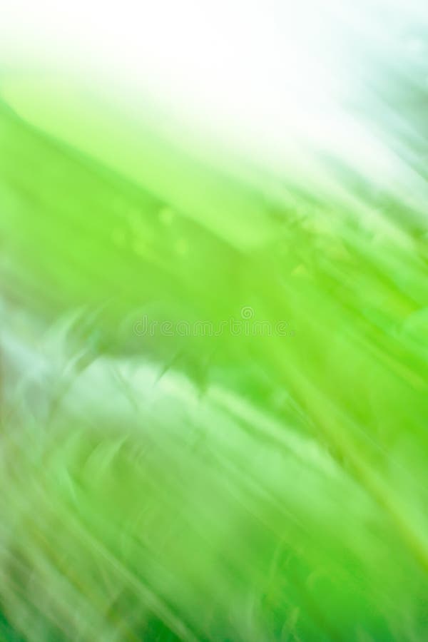 Achtergrond van bewegingsonduidelijk beeld van natuurlandschap. ondoorzichtig parklandschap met bokeh stock afbeeldingen Achtergrond van bewegingsonduidelijk beeld van natuurlandschap. ondoorzichtig parklandschap met bokeh stock afbeeldingen