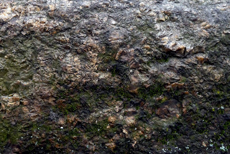 achtergrond van de close-up de oude steen met wat beetjemos stock afbeelding achtergrond van de close-up de oude steen met wat beetjemos stock afbeelding