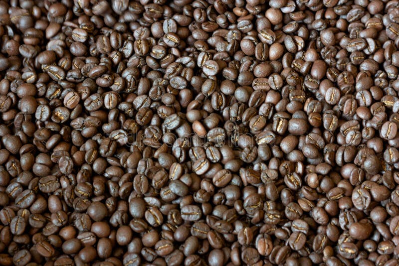 Achtergrond van selectieve focus gebrande koffiebonen stock fotografie Achtergrond van selectieve focus gebrande koffiebonen stock fotografie