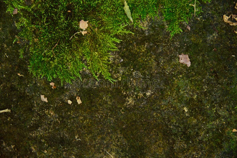 Achtergronden en texturen stock fotografie