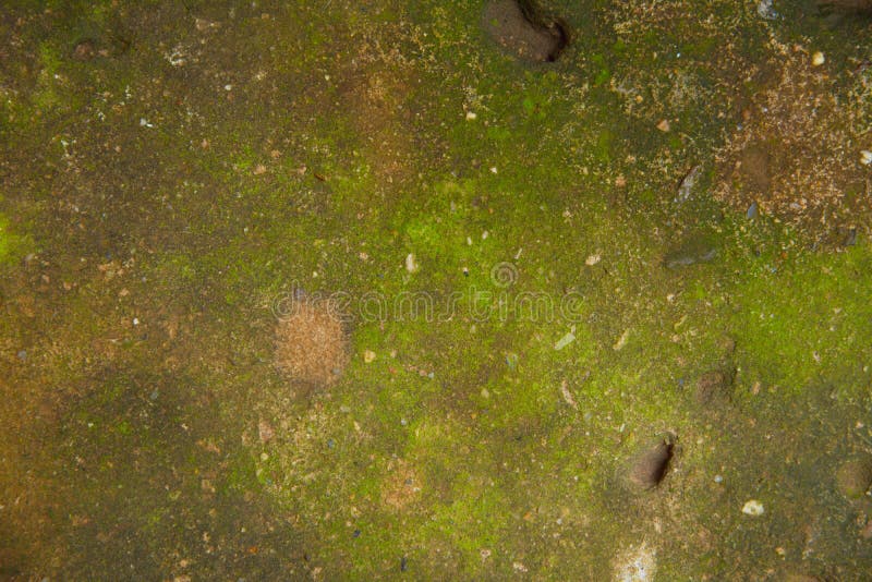 Achtergronden en texturen royalty-vrije stock afbeeldingen