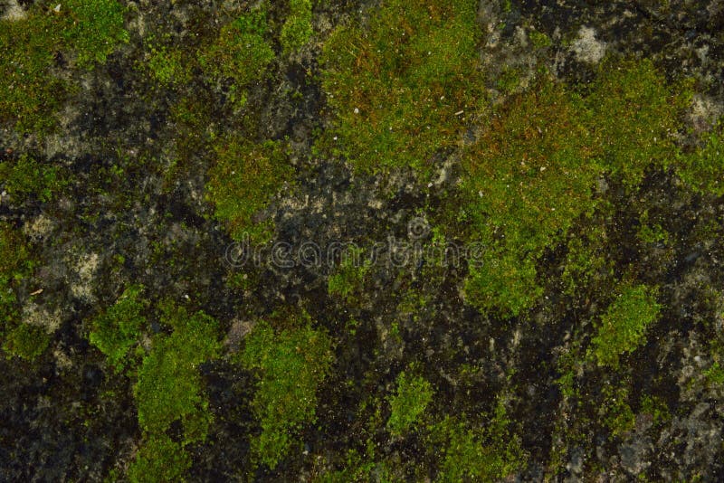 Achtergronden en texturen royalty-vrije stock fotografie