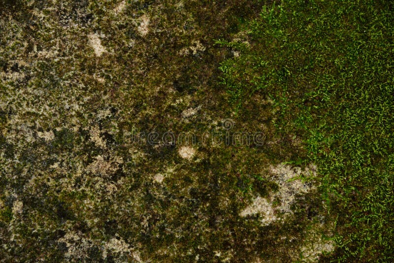 Achtergronden en texturen royalty-vrije stock fotografie