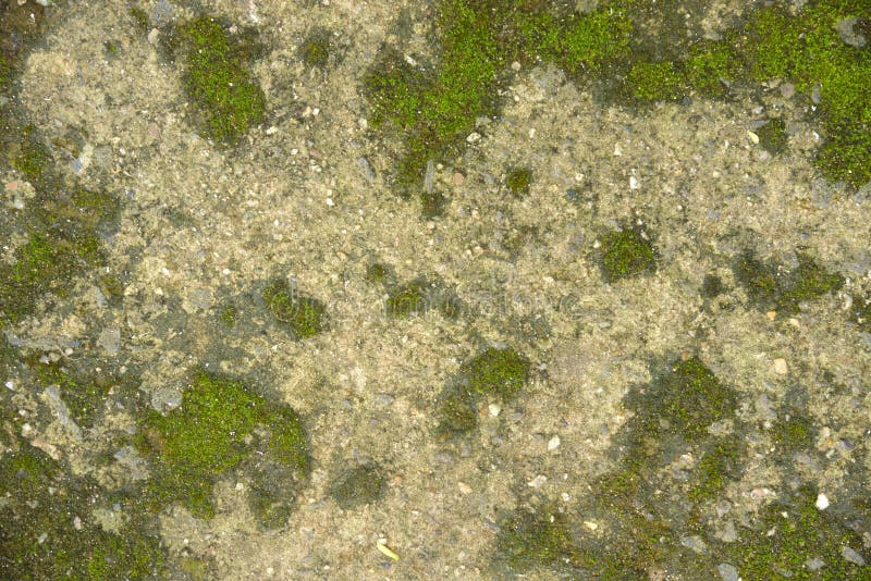 Achtergronden en texturen royalty-vrije stock fotografie