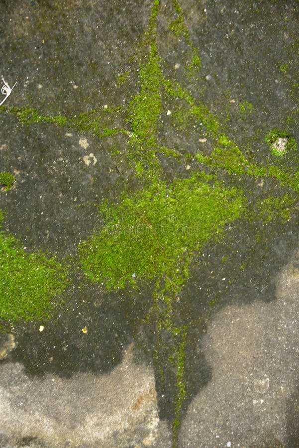 Achtergronden en texturen stock afbeelding