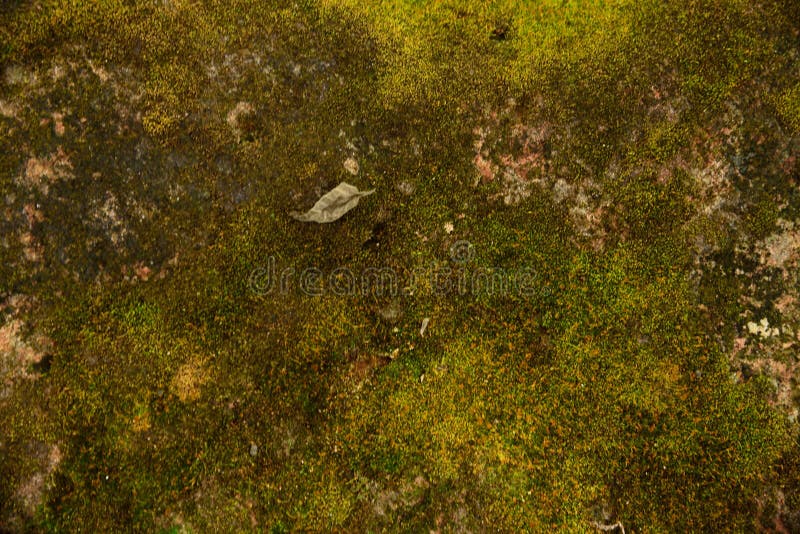 Achtergronden en texturen royalty-vrije stock afbeeldingen