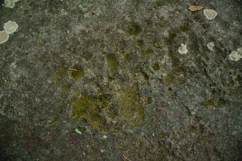 Achtergronden en texturen stock afbeelding