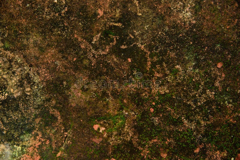Achtergronden en texturen stock fotografie
