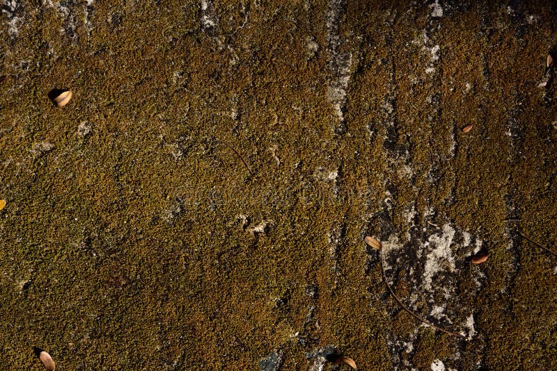 Achtergronden en texturen royalty-vrije stock foto's