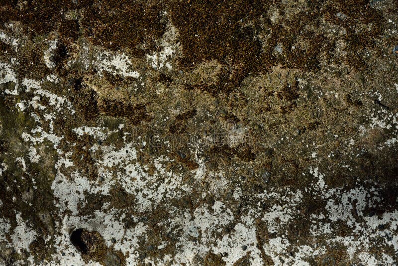 Achtergronden en texturen royalty-vrije stock fotografie