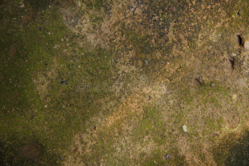 Achtergronden en texturen royalty-vrije stock afbeeldingen