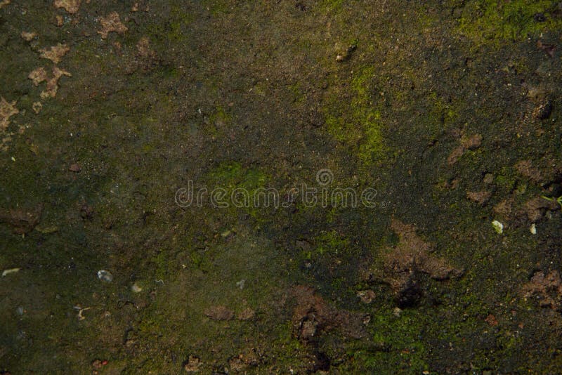 Achtergronden en texturen stock foto