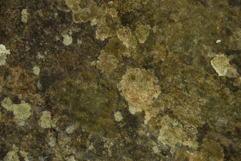 Achtergronden en texturen royalty-vrije stock foto