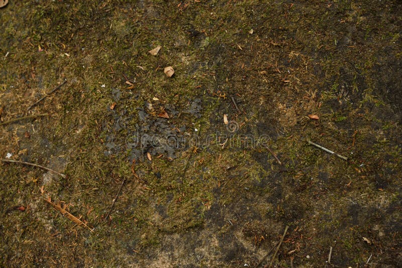 Achtergronden en texturen stock fotografie