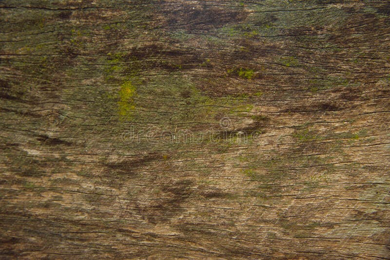 Achtergronden en texturen stock afbeelding