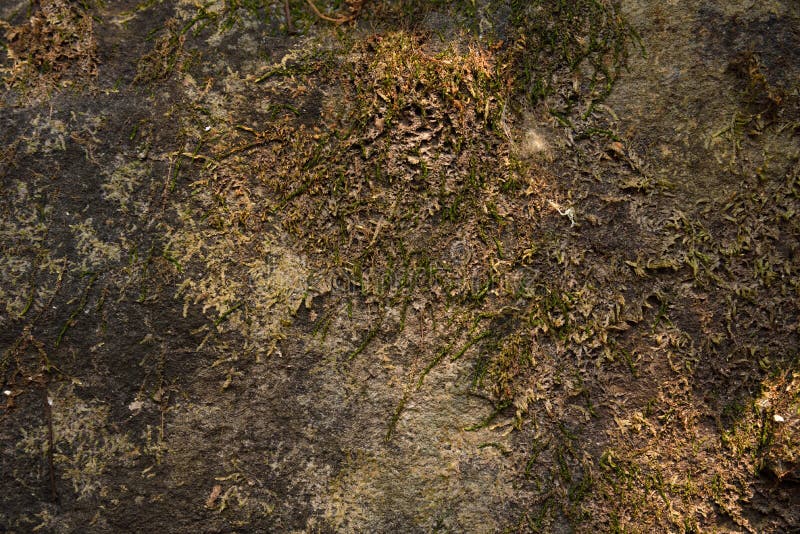 Achtergronden en texturen stock afbeeldingen