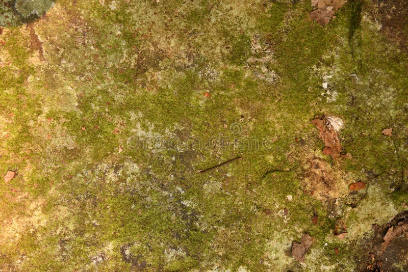 Achtergronden en texturen royalty-vrije stock fotografie