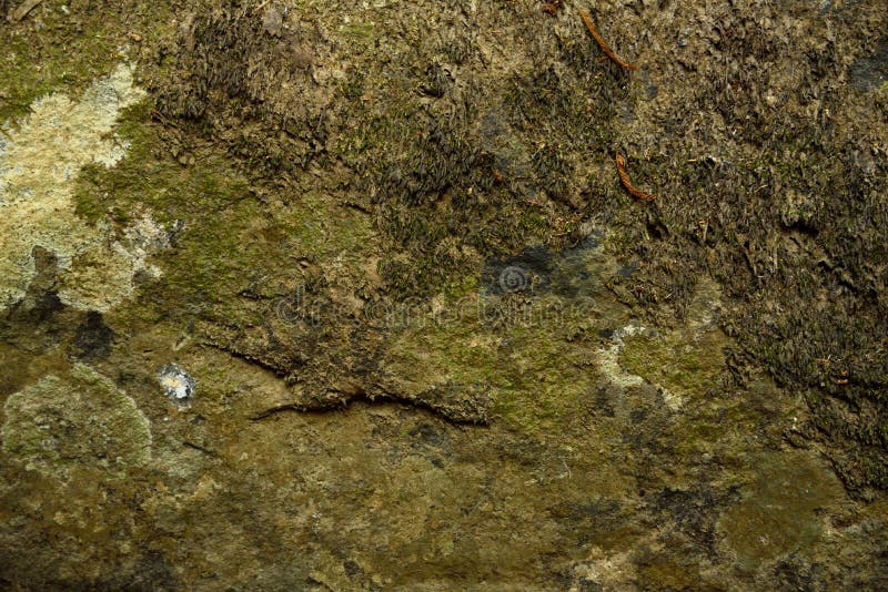 Achtergronden en texturen stock foto's