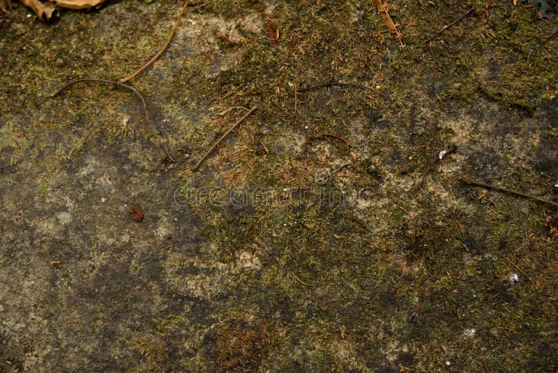 Achtergronden en texturen stock afbeeldingen