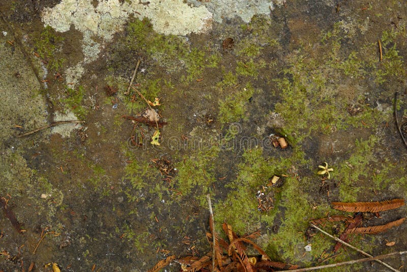 Achtergronden en texturen royalty-vrije stock fotografie