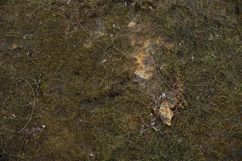 Achtergronden en texturen stock foto