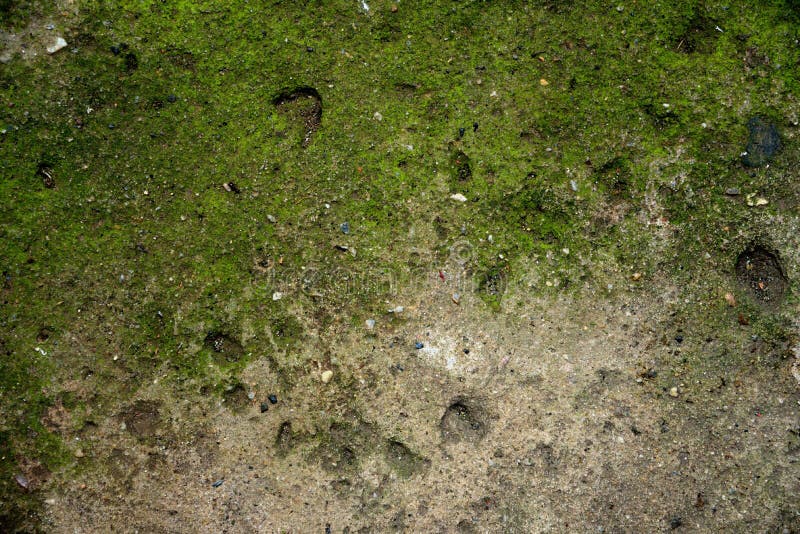 Achtergronden en texturen stock afbeelding