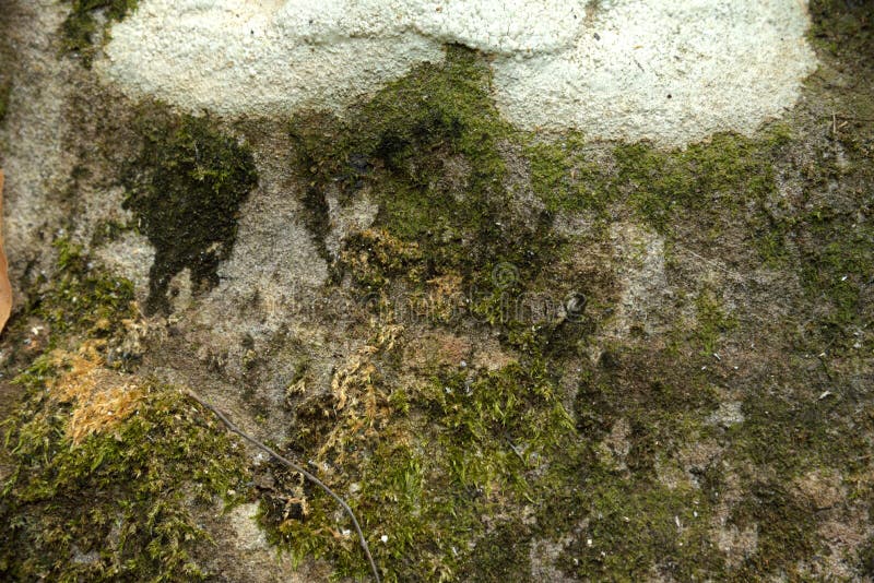 Achtergronden en texturen royalty-vrije stock foto's