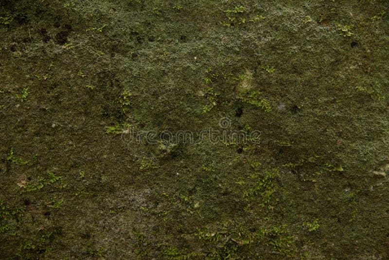 Achtergronden en texturen royalty-vrije stock fotografie