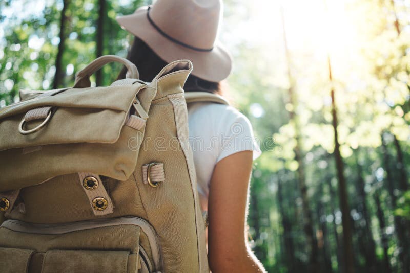Achtermening over knap reizigers hipster meisje met rugzak en hoed die in bos onder bomen lopen royalty-vrije stock afbeelding Achtermening over knap reizigers hipster meisje met rugzak en hoed die in bos onder bomen lopen royalty-vrije stock afbeelding