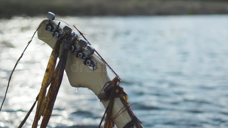 Achtermening van natte gitaarhals met het hangen van kelp en het vallen van waterdalingen op achtergrond van de onduidelijk beeld stock fotografie Achtermening van natte gitaarhals met het hangen van kelp en het vallen van waterdalingen op achtergrond van de onduidelijk beeld stock fotografie