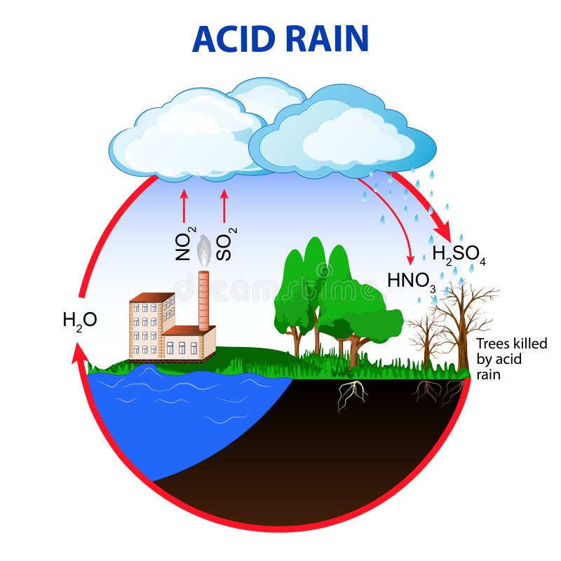 Acid Rain Stock Vector  Illustration Of Dead  Factory